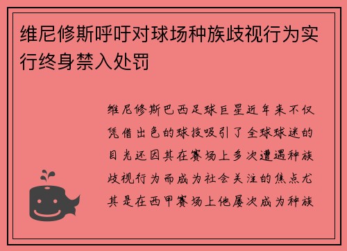 维尼修斯呼吁对球场种族歧视行为实行终身禁入处罚